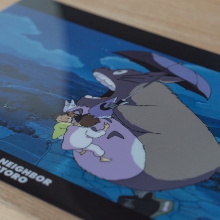 Storage - A4 Size Clear Folder Walk of the night sky - My Neighbour Totoro