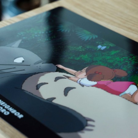Storage - A4 Size Clear Folder On the tummy - My Neighbour Totoro