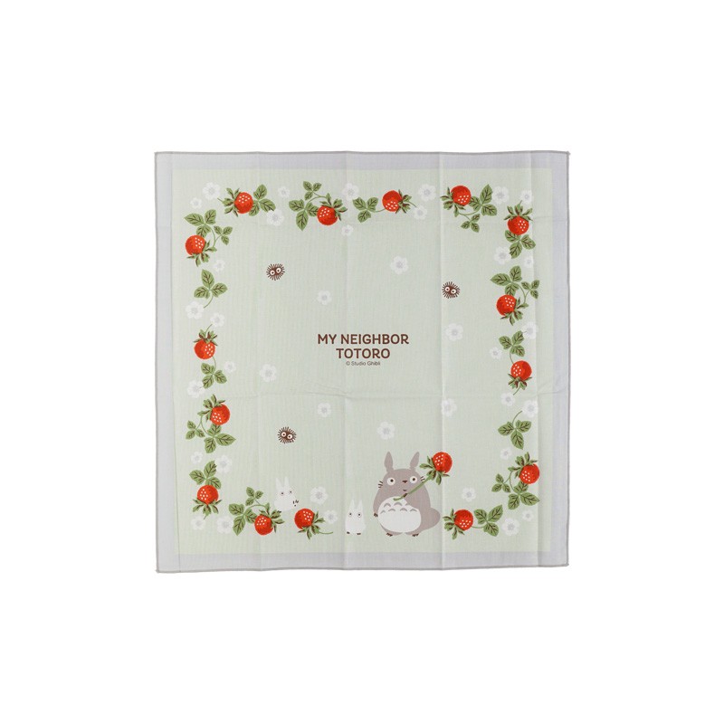 Sets De Table - Dessous de table Collection Framboise - Mon Voisin Totoro