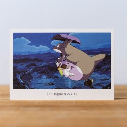 Studio Ghibli: 100 PostcardsLivraison 24h