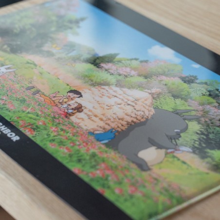 Storage - A4 size Clear Folder Afternoon - My Neighbour Totoro