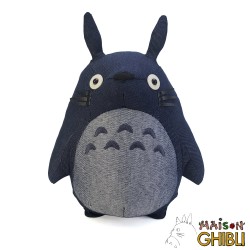 Mon voisin Totoro - Carnet Ghibli peluche de Studio Ghibli - Grand Format -  Livre - Decitre