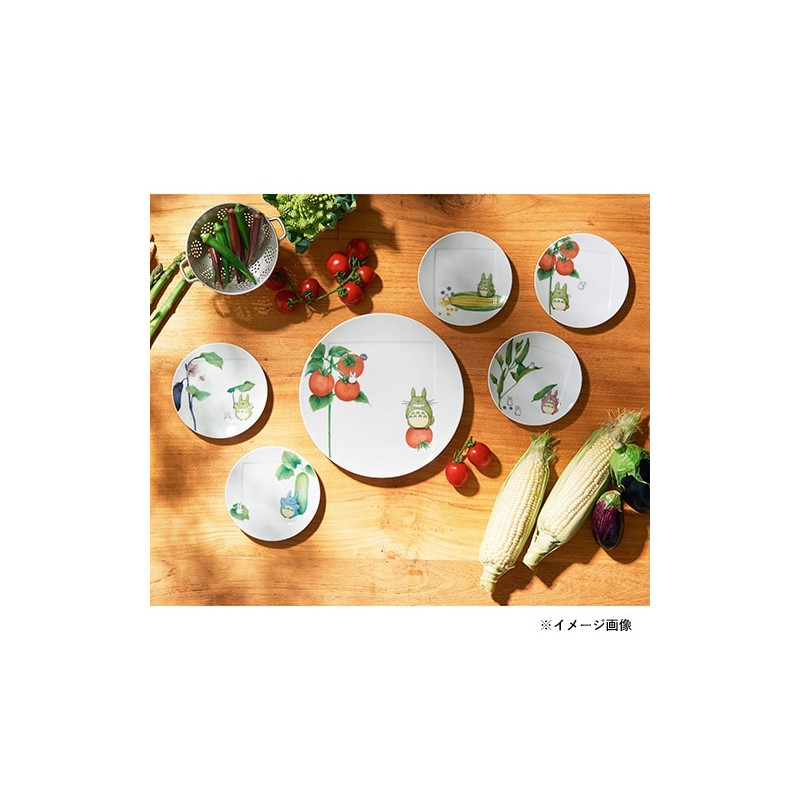 Porcelaine japonaise - Assiette 27 cm Totoro Aubergine - Mon Voisin Totoro