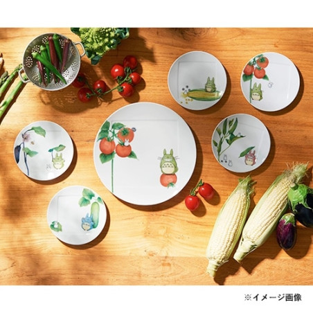 Japanese Porcelain - Plate 27 cm Totoro Eggplant - My Neighbor Totoro