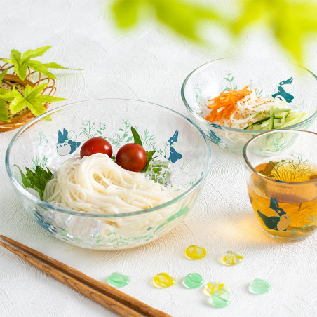 Kitchen and tableware - Transparent bowl 17cm Chasing acorns - My Neighbor Totoro