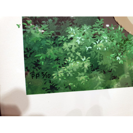 Cel Art - Studio Ghibli - CEL ART TOTORO ON A SUMMER DAY - STUDIO GHIBLI