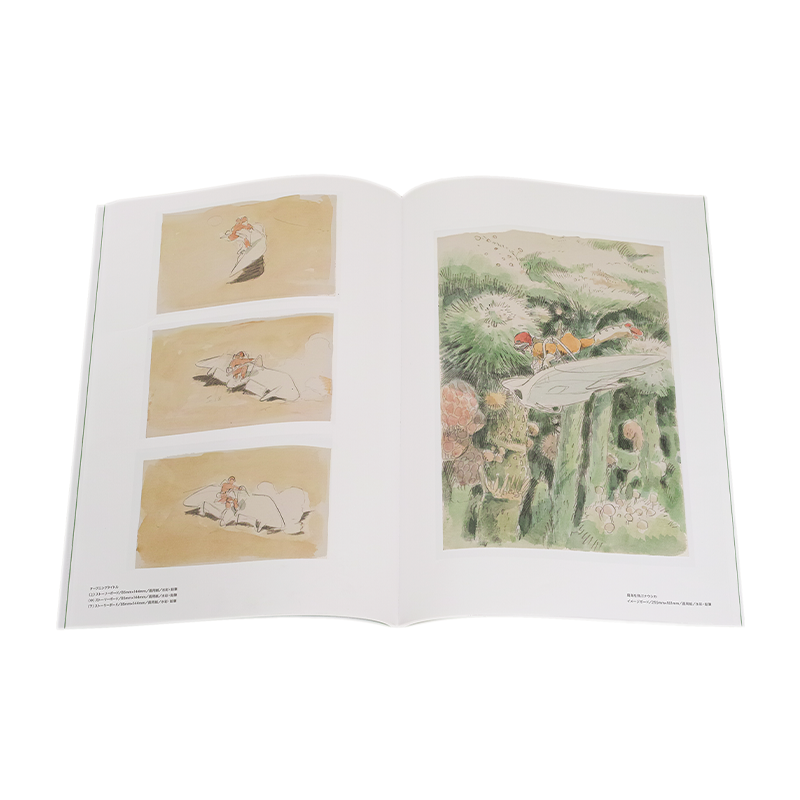 Cultura - Livre d'art Image Board - Nausicaä