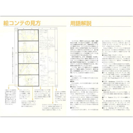 Culture - Full StoryBoard - Whisper of the Heart
