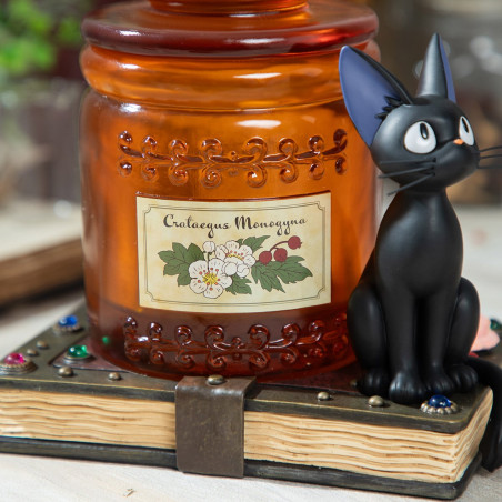 Décoration - Accessories box Kokiri's albarello - Kiki’s Delivery Service