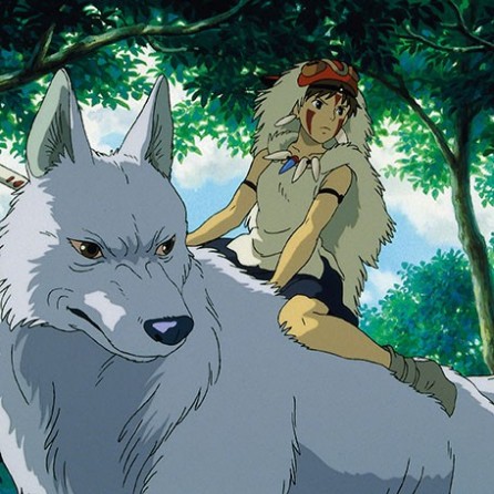 Official merchandise - Princess Mononoke (7)